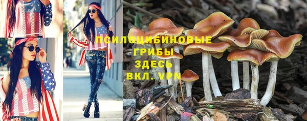 наркотики Новокубанск