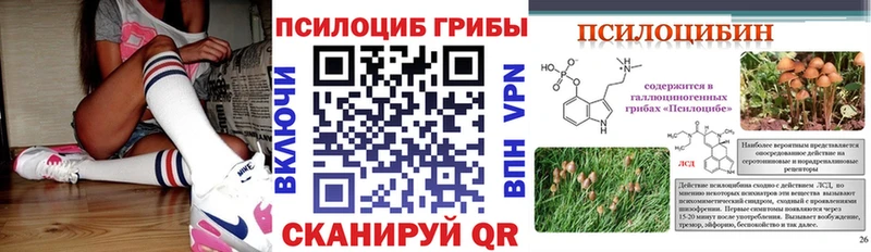 Галлюциногенные грибы Cubensis  кракен зеркало  Луза 